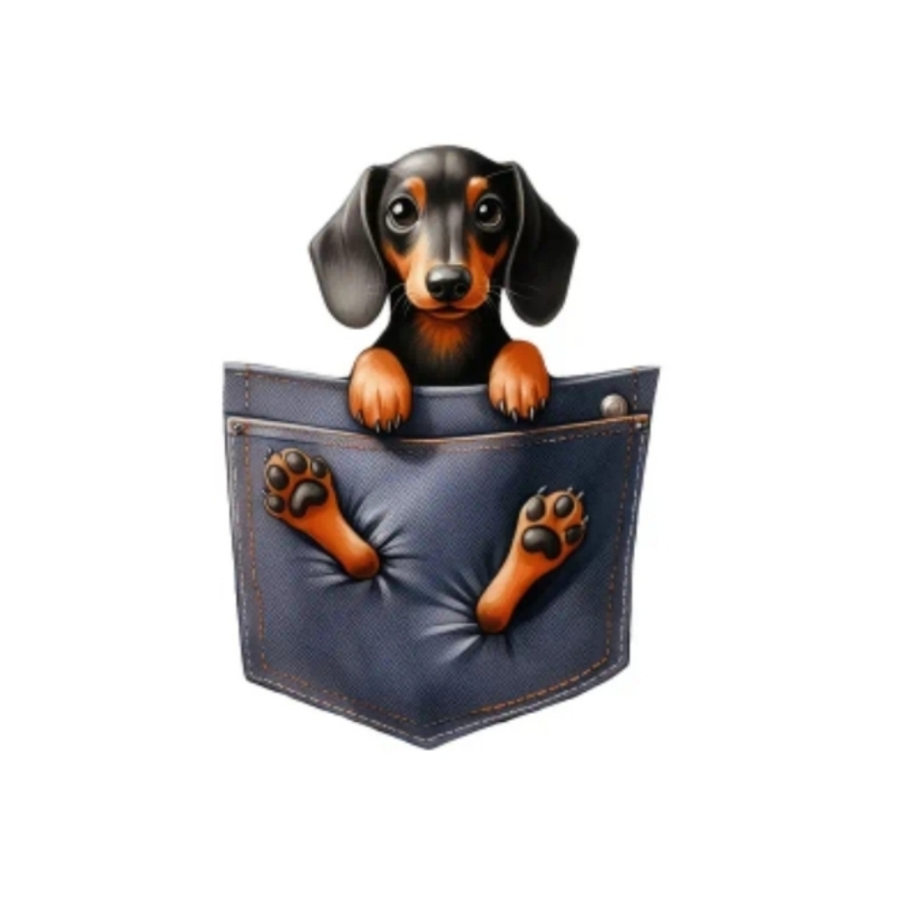 Samson's Buddy Dachshund, Yorkie, Or Rottweiler Brooch - Picture 1 of 5